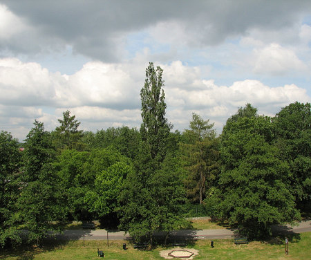 2008-06-14